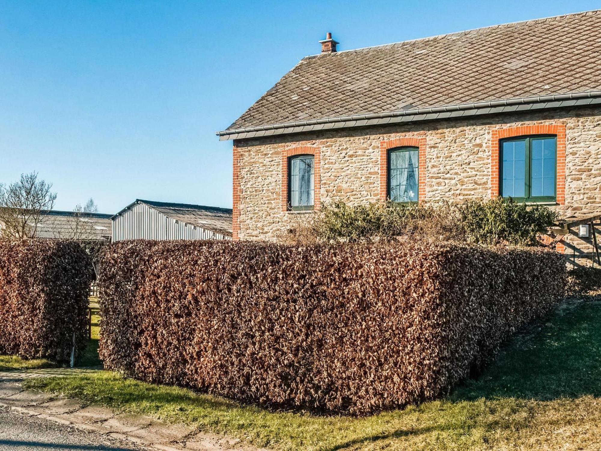 Pretty Farmhouse In Houffalize With Courtyard Zewnętrze zdjęcie
